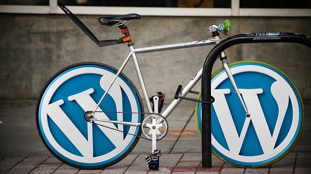 site wordpress
