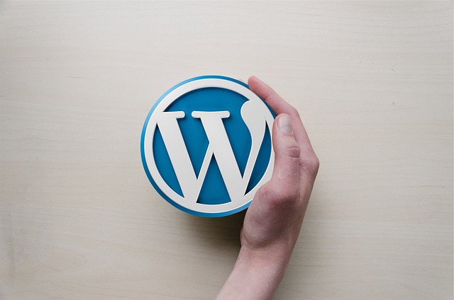 création site vitrine wordpress
