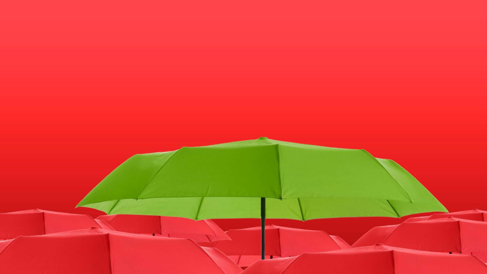 recession-proof small business. Bright green umbrella covering red umbrellas