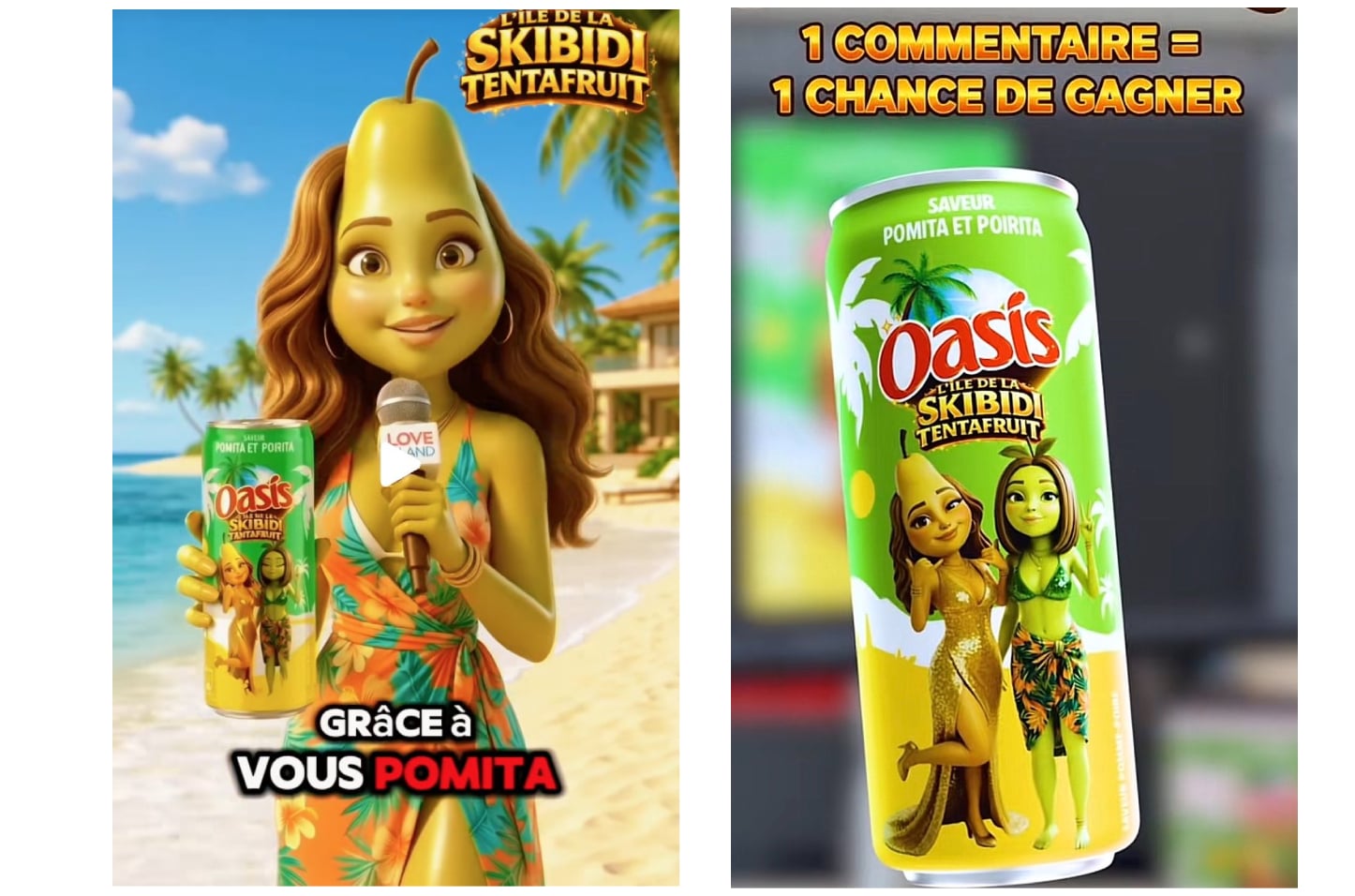 Une communication finalement retirée des réseaux sociaux - Source : TikTok
